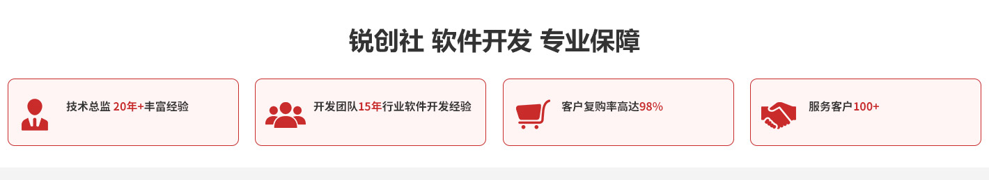 軟件開發(fā)專業(yè)團(tuán)隊