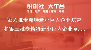 第六批專精特新小巨人企業(yè)培育和第三批專精特新小巨人企業(yè)復(fù)核工作企業(yè)申請(qǐng)要求獎(jiǎng)補(bǔ)政策