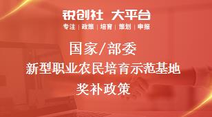 國(guó)家/部委新型職業(yè)農(nóng)民培育示范基地獎(jiǎng)補(bǔ)政策