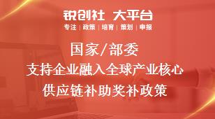 國家/部委支持企業(yè)融入全球產業(yè)核心供應鏈補助獎補政策
