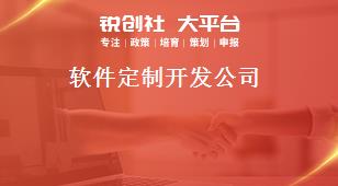 軟件定制開發(fā)公司獎補(bǔ)政策